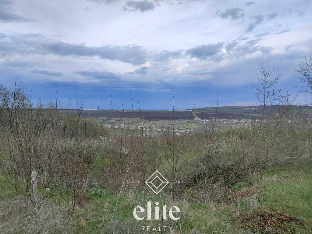 elite realty image