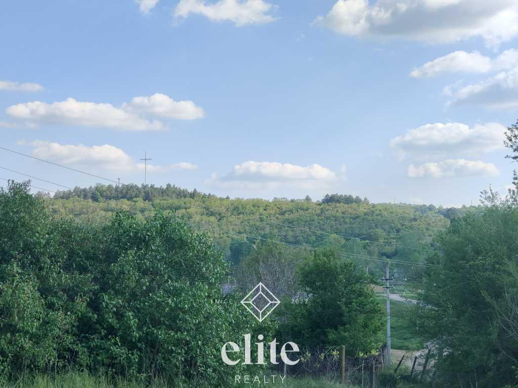 elite realty image