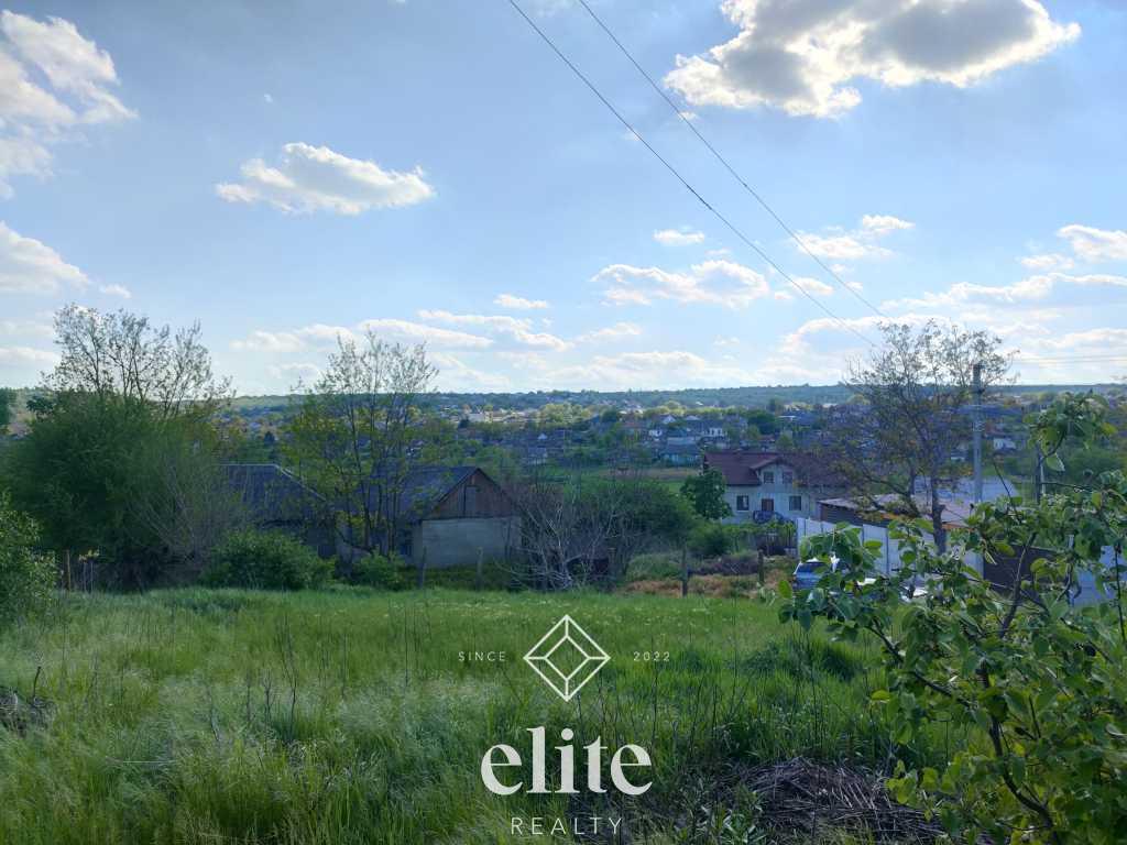 elite realty image