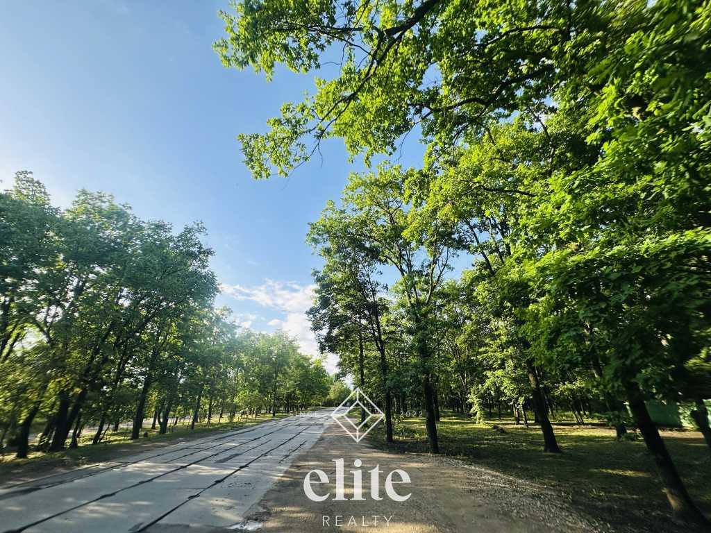 elite realty image