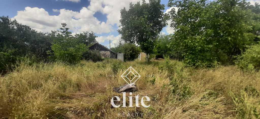 elite realty image