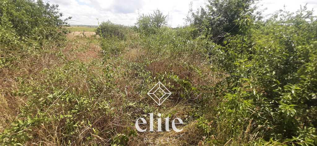 elite realty image