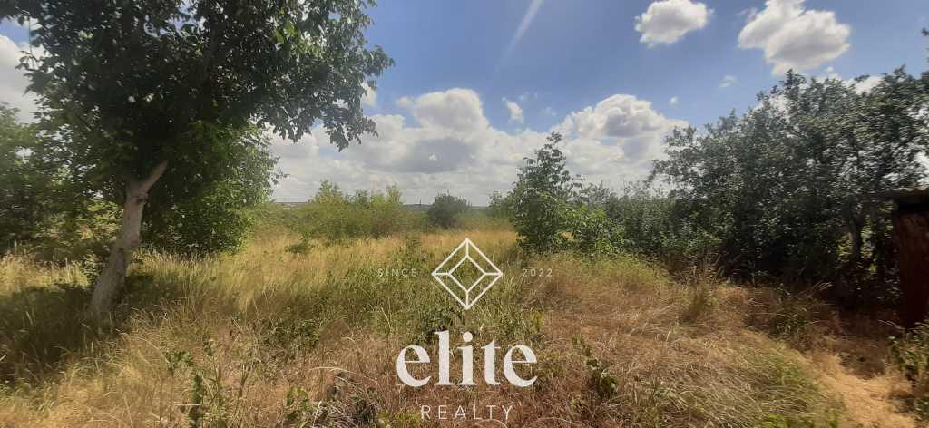 elite realty image