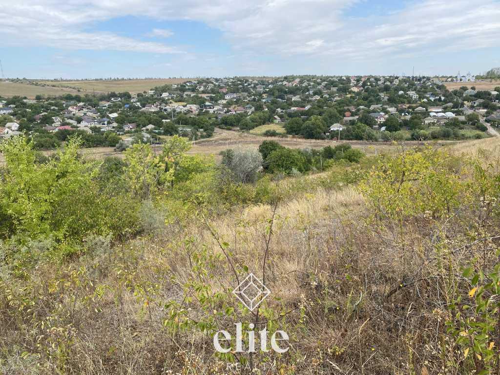 elite realty image