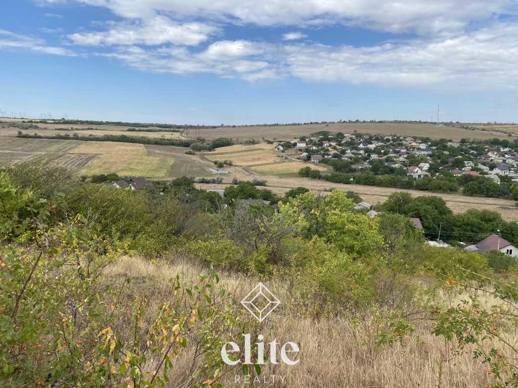 elite realty image