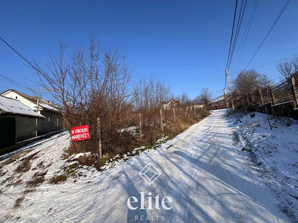 elite realty image
