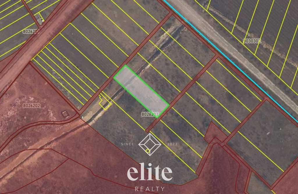 elite realty image