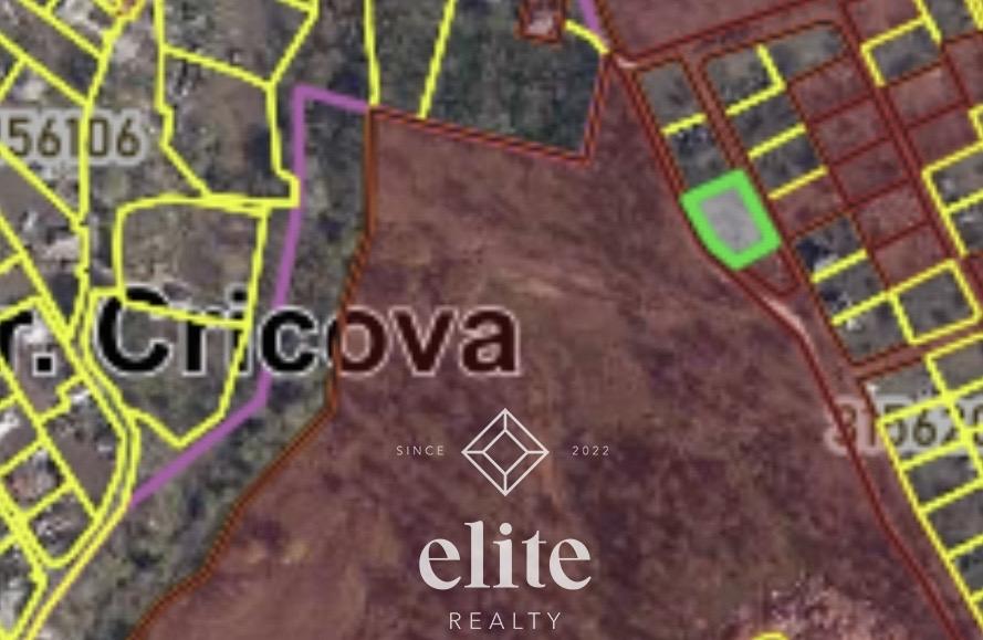 elite realty image