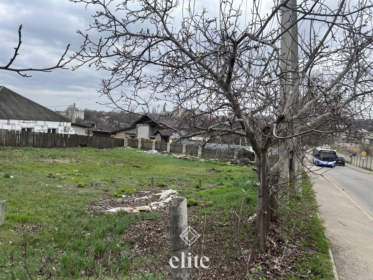 elite realty image