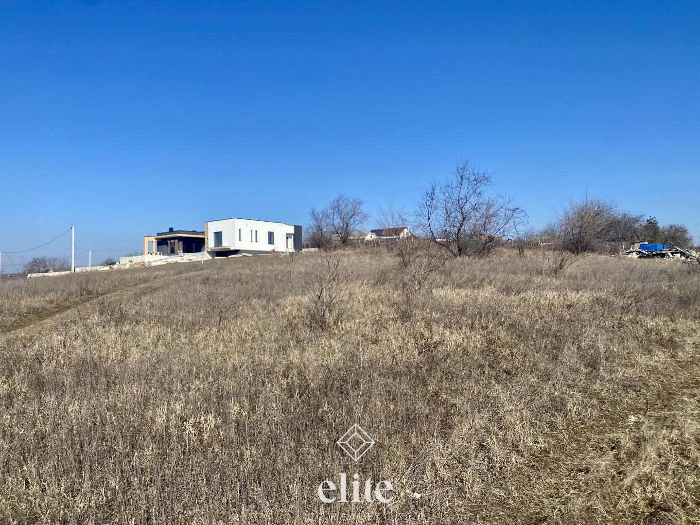elite realty image