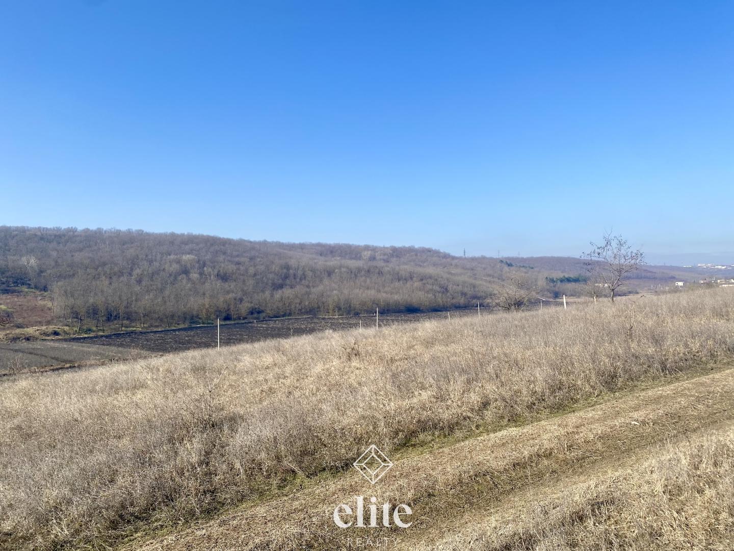 elite realty image