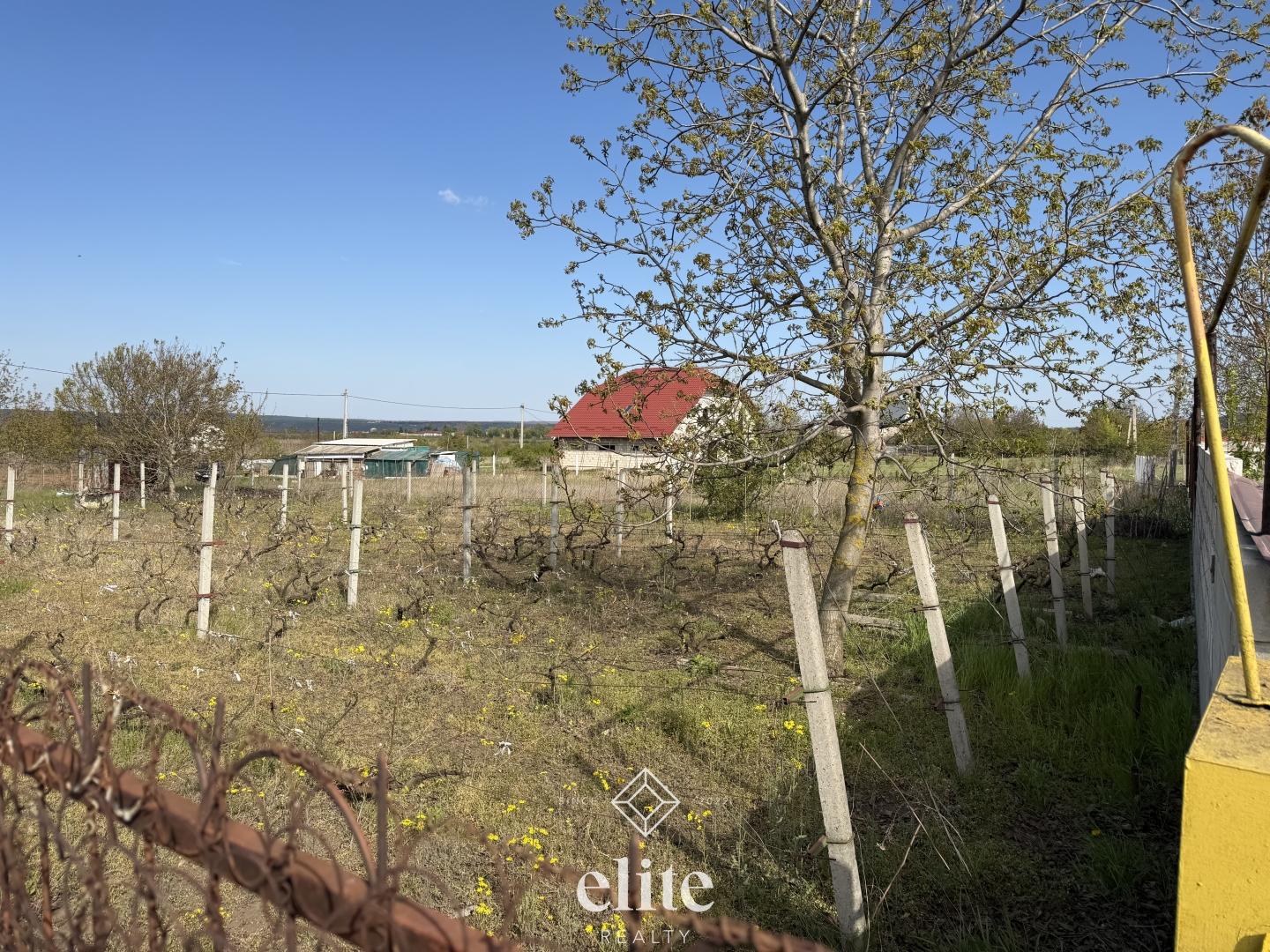 elite realty image