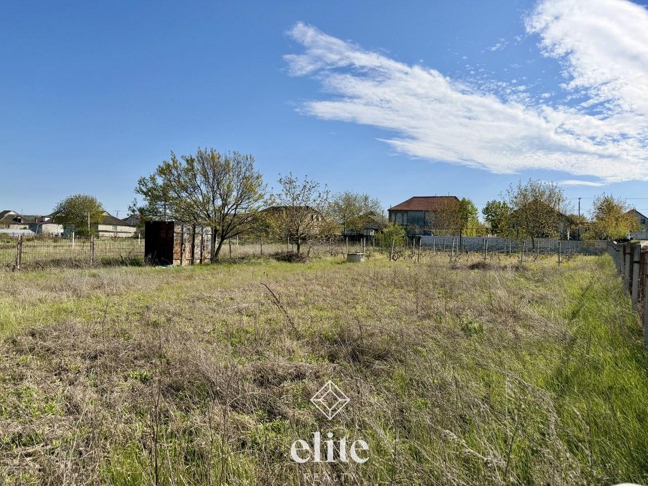elite realty image