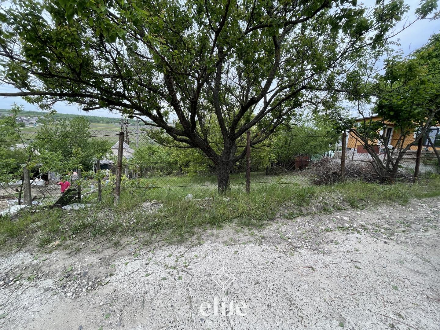 elite realty image
