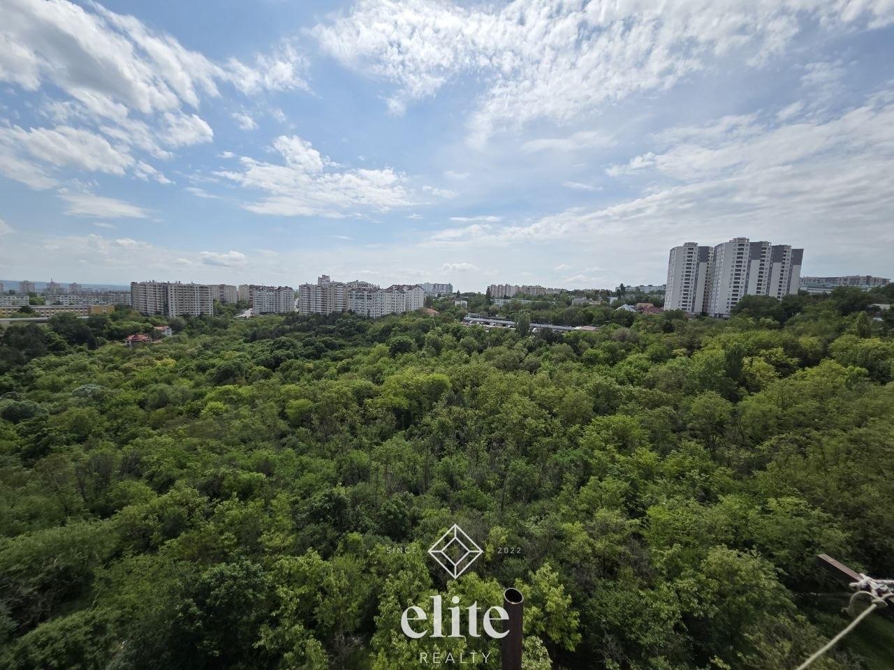 elite realty image