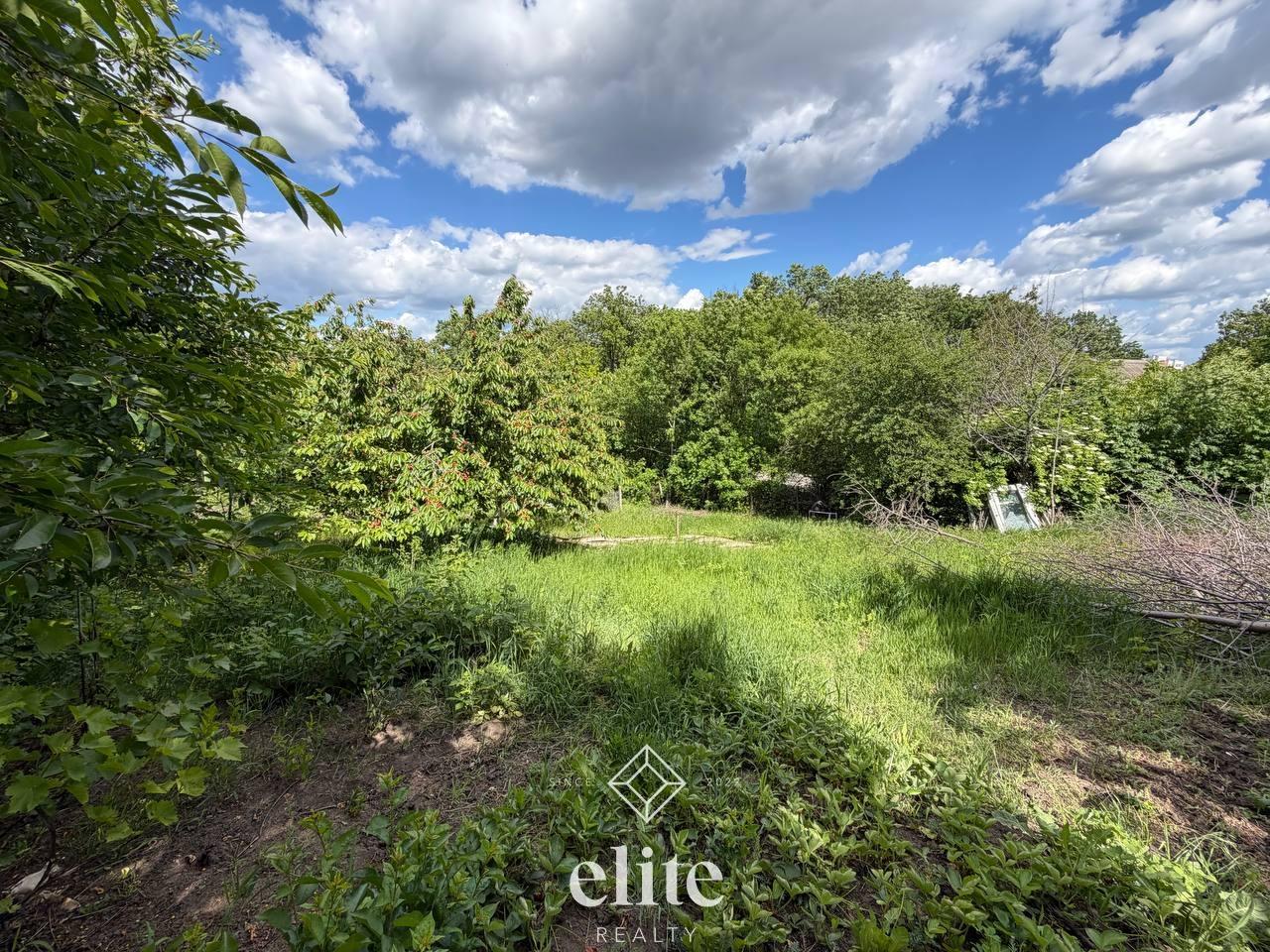 elite realty image