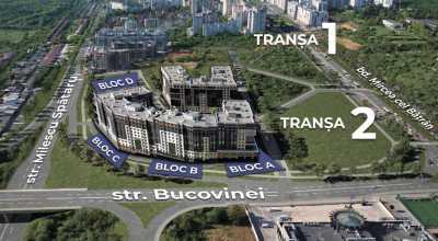 elite realty image