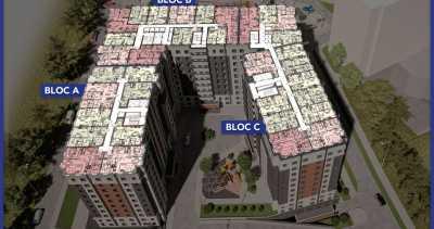 elite realty image