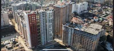 elite realty image