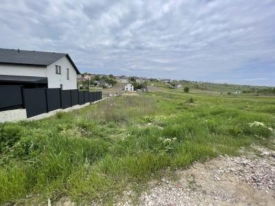 elite realty Str. Pavel Bechet