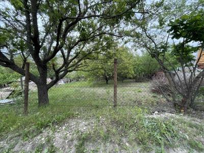 elite realty Str. Alexandru cel Bun