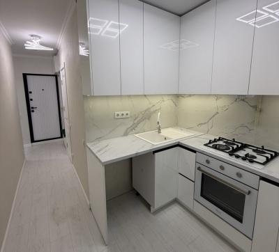elite realty Str. Nicolae Zelinski